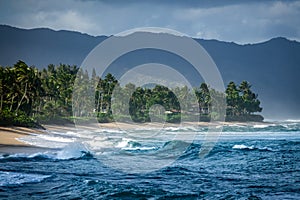 Luxury Houses On The Hawaiian North Shore