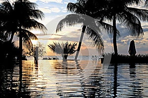 Luxury infinity swimming pool in sunset light with umbrellas, palms and endless ocean view. Bali, Indonesia