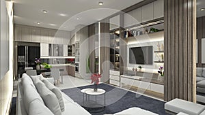 Luxury Interior Living Room Apartment Integrate with Kitchen Area