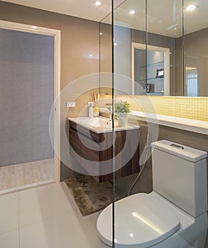 Luxury Interior luxury modern bathroom