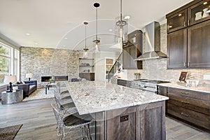 Luxury kitchen in a new construction home