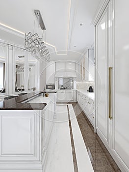 Luxury kitchen in classic style