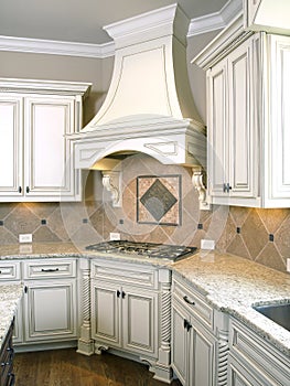 Luxury Kitchen Cooktop with Hood