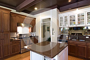 Luxury kitchen in dark wood