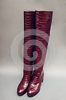 Luxury knee high boots, stylish burgundy reptile skin leather shoes for women. Female fashion. Footwear