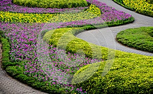 Luxury landscape design of the tropical garden.