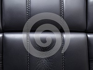 luxury leather sofa in black and white