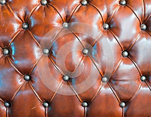 Luxury leather upholstery with buttons