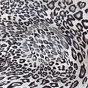 Luxury leopard background. Animal print. Cheetah fur. Jaguar spots. Snow Leopard skin.