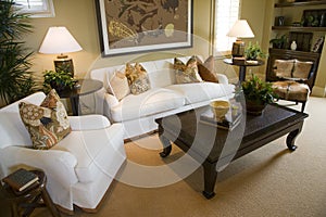 Luxury living room img