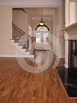 Luxury Living Room with Fireplace and Foyer 3