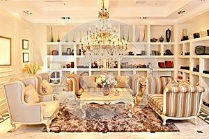 Luxury living room furniture fitting
