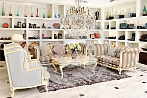 Luxury living room furniture fitting