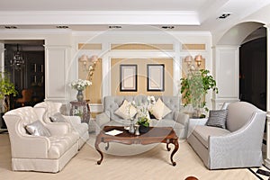 Luxury living room furniture fitting