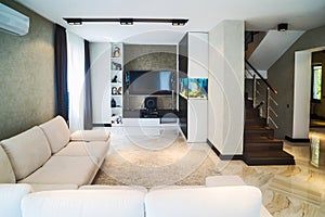 Luxury living room interior