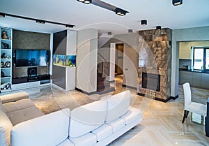 Luxury living room interior