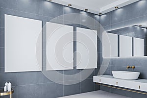 Luxury loft bathroom with three blank banner