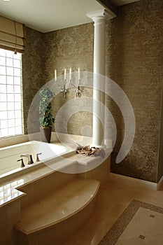 Luxury master bath