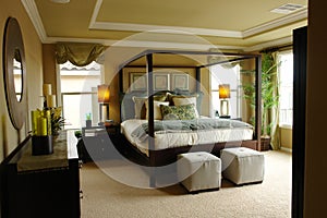 Luxury master bedroom