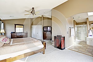 Luxury master bedroom interior