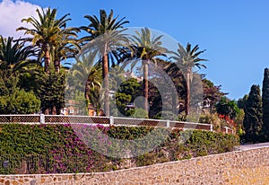 Luxury mediteranian garden photo