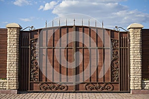 Luxury metal wrought gates with ornate elements
