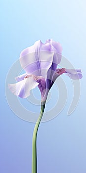 Luxury Mobile Wallpaper: Elegant Iris On Blurred Background