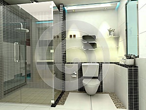 Luxury modern bathroom