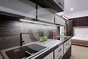 Luxury modern bkrown kitchen