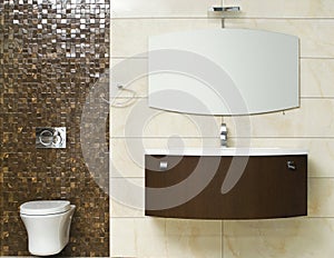 Luxury modern style decorated toilet