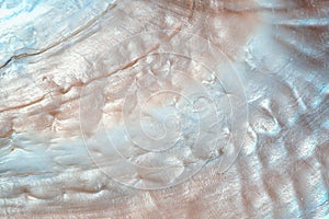 Luxury nacre seashell background texture photo