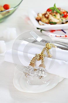 Luxury napkins with napkin ring