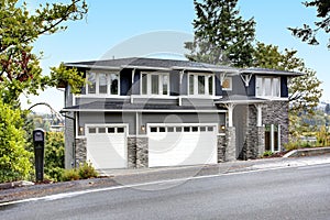 Luxury new construction home with stone veneer siding. photo