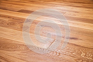 Luxury oak parquet flooring after applying of oil-based floor finis