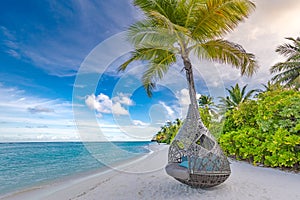 Luxury palm swing on tropical island beach. Tranquil relaxing weather, calm sea palm trees, idyllic travel destination concept