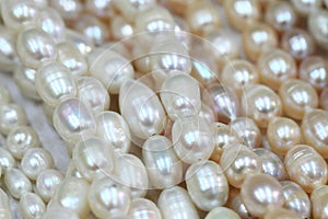 Luxury pearl texture