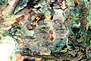 Luxury pearl texture