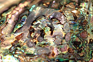 Luxury pearl texture