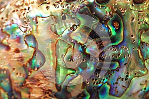 luxury pearl texture