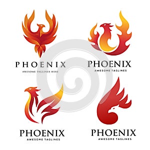 Luxury phoenix logo set concept