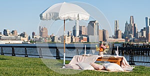 luxury picnic dinner. summer outdoor romance. romantic picnic in summer. summer picnic in the central park. romantic