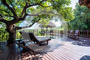 luxury pool, South Africa Kwazulu natal, luxury safari lodge in the bush