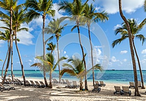 Luxury resort beach in Punta Cana