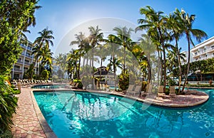 Luxury resort pool with palm trees.