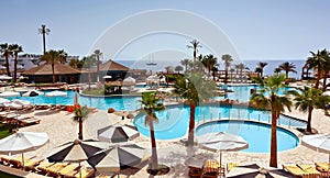 Luxury resort pool with palm trees.