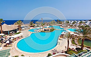 Luxury resort pool with palm trees.