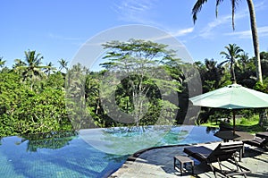 Luxury retreat spa swimming pool in the middle of the tropical forrest