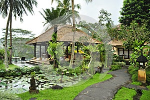 Luxury retreat spa villa in the rain forrest