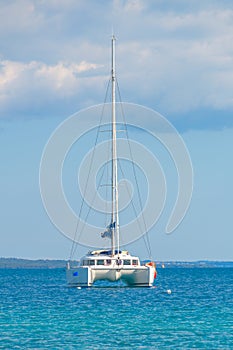 Luxury sailing catamaran in open sea