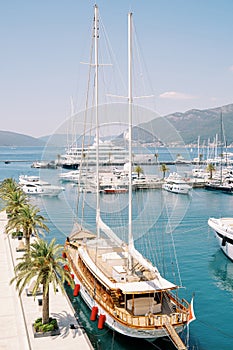 Luxury sailing yacht stands on a pier with green palm trees with a bridge lowered ashore